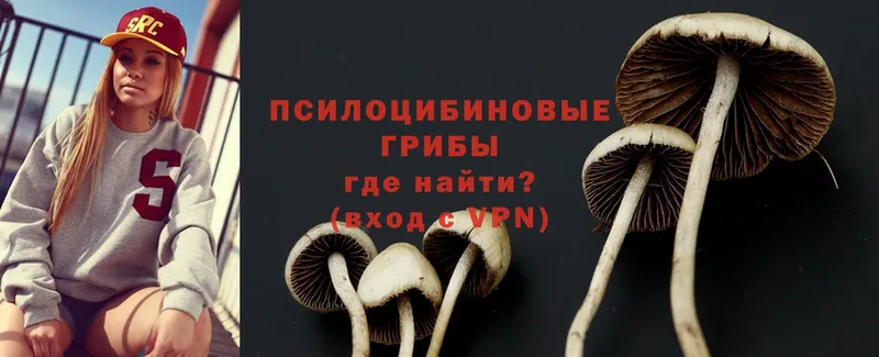 закладки  Северодвинск  OMG ссылки  Псилоцибиновые грибы Psilocybe 